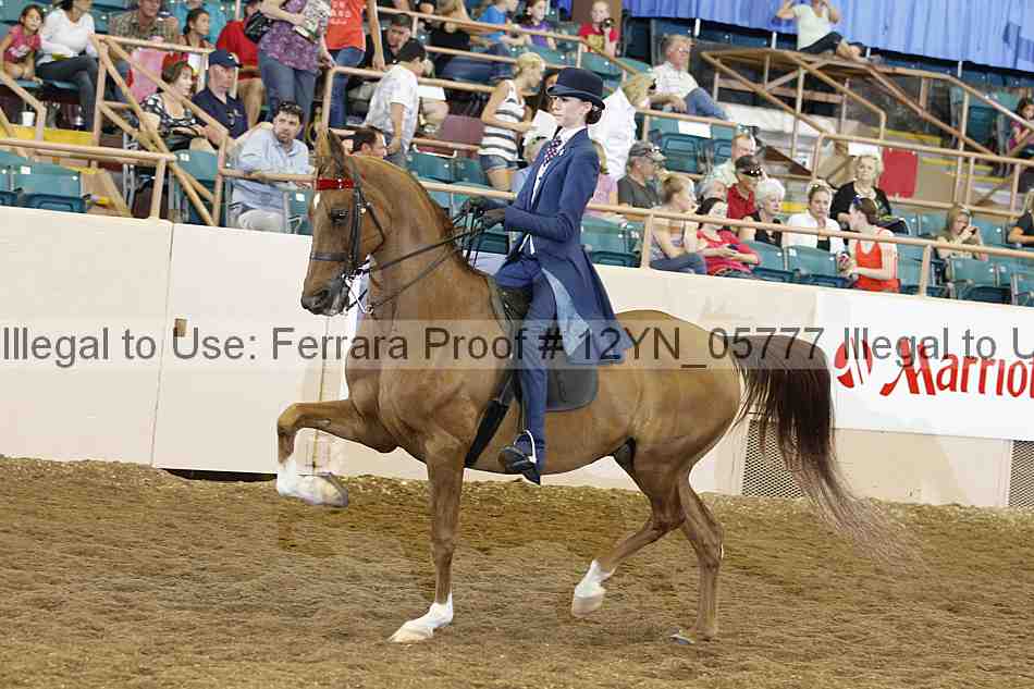 Proof 12yn_05777