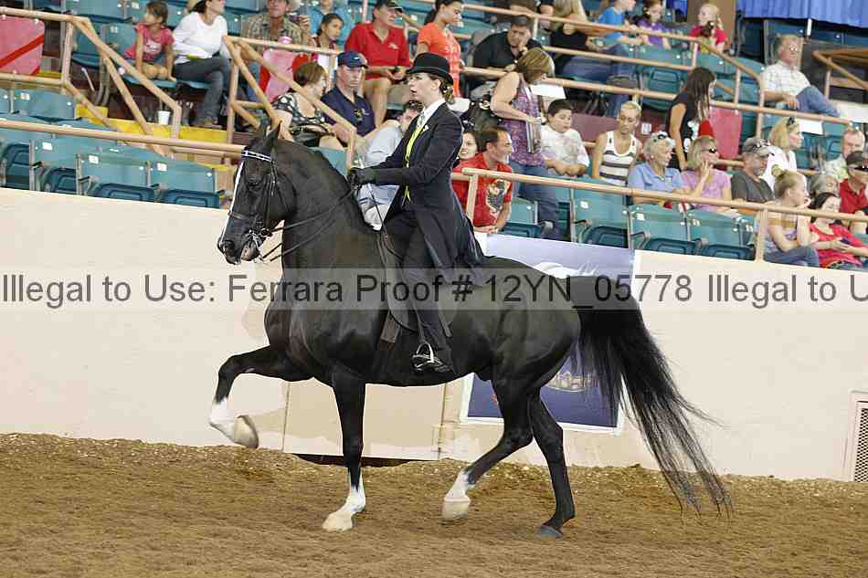 Proof 12yn_05778