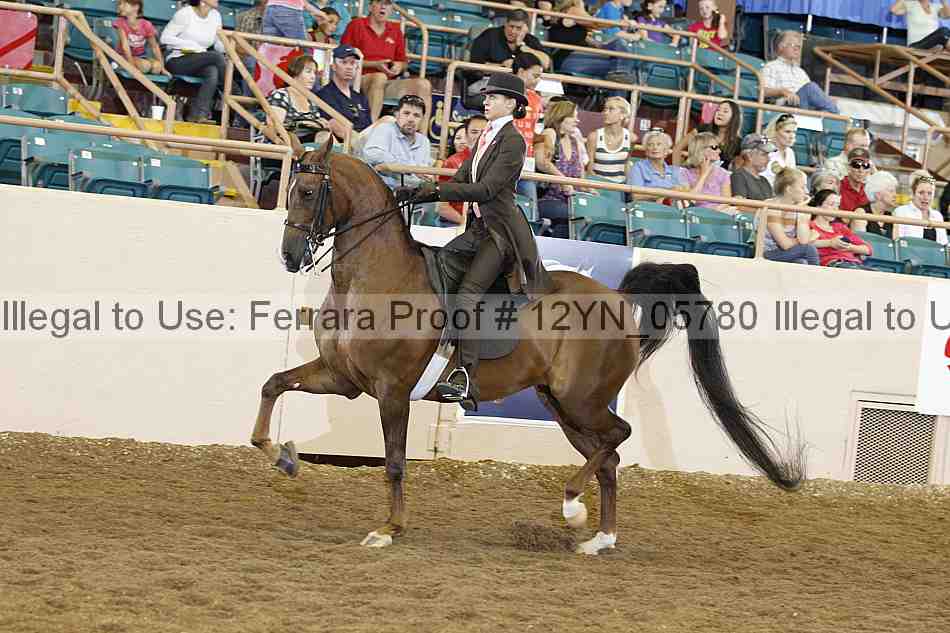 Proof 12yn_05780