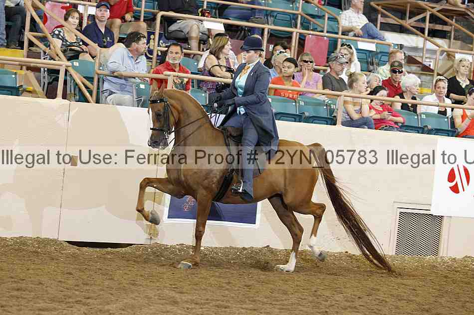 Proof 12yn_05783
