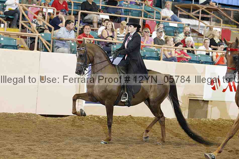 Proof 12yn_05784