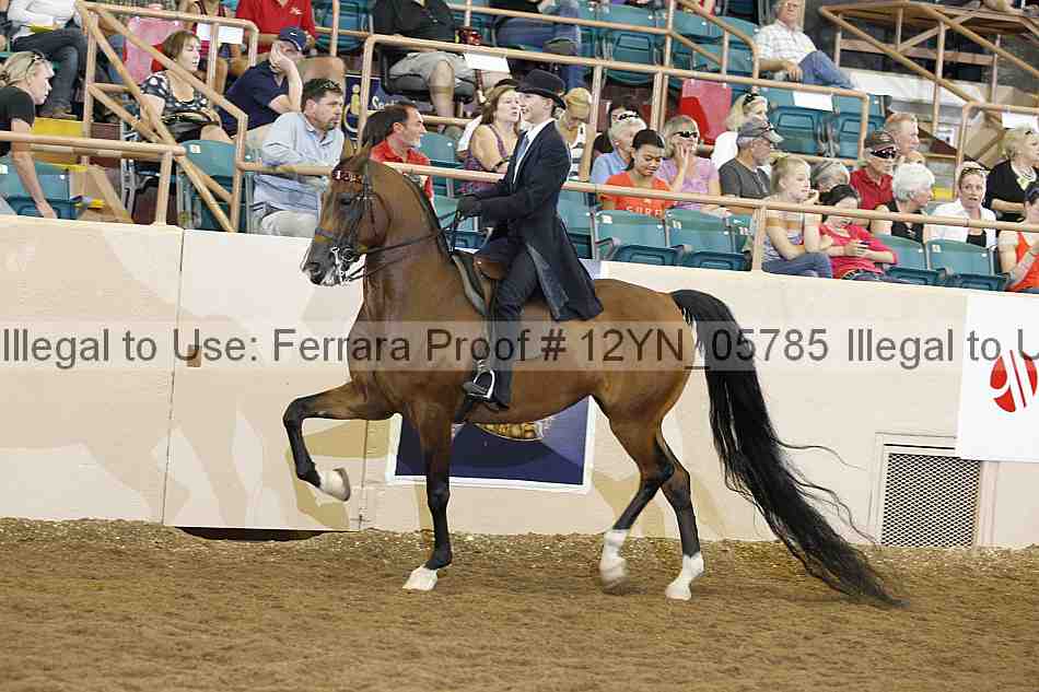 Proof 12yn_05785