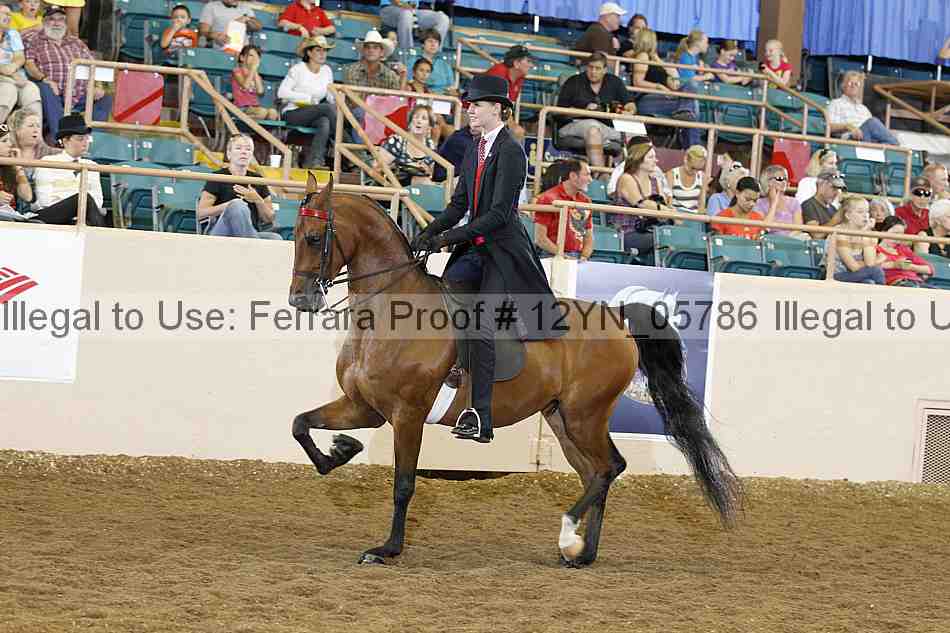 Proof 12yn_05786