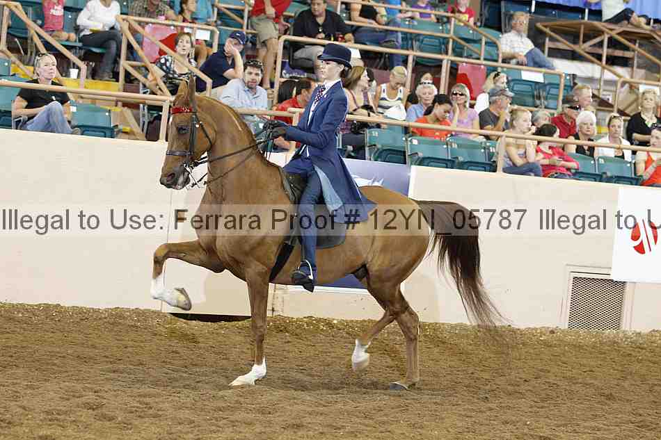 Proof 12yn_05787