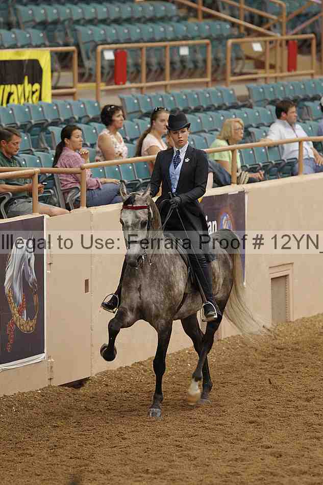 Proof 12yn_05788