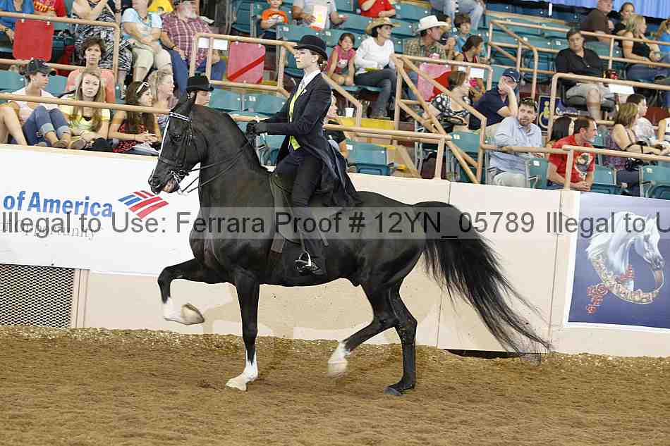 Proof 12yn_05789