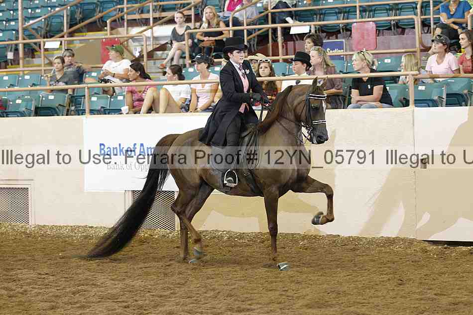 Proof 12yn_05791