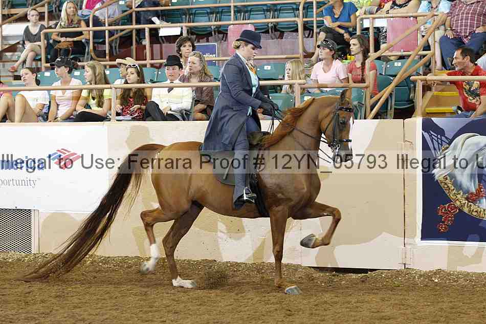 Proof 12yn_05793