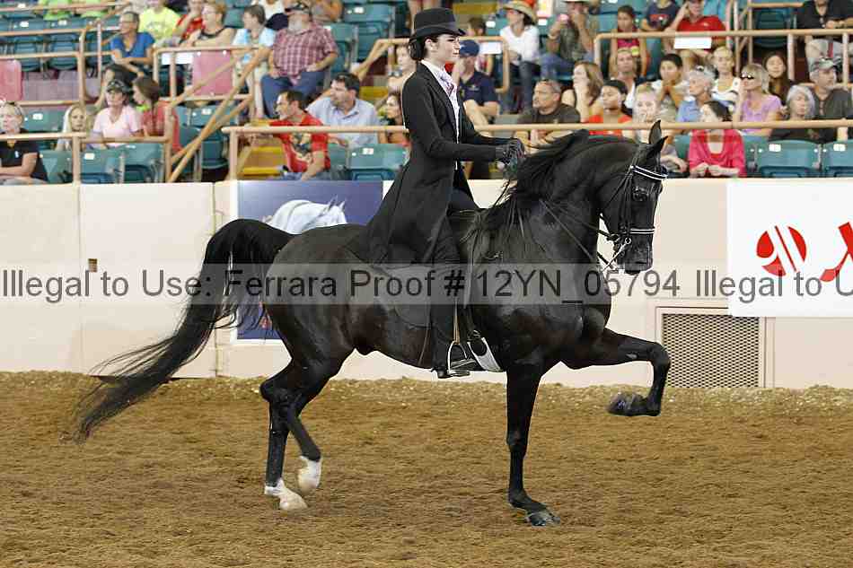 Proof 12yn_05794