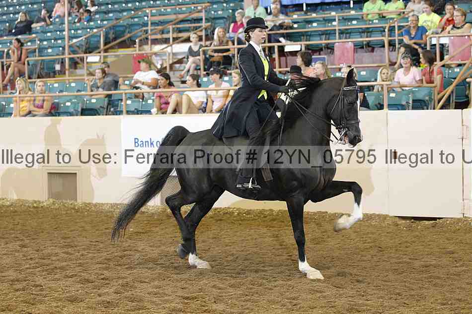 Proof 12yn_05795
