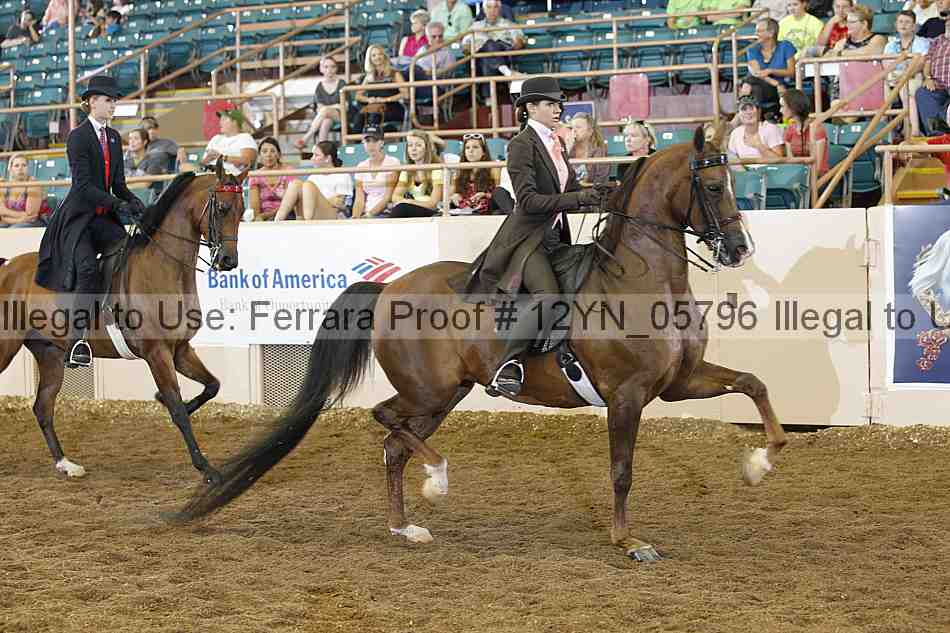 Proof 12yn_05796