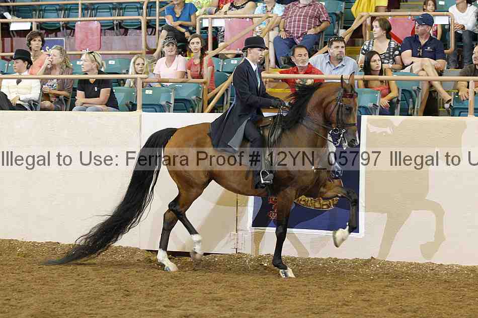Proof 12yn_05797