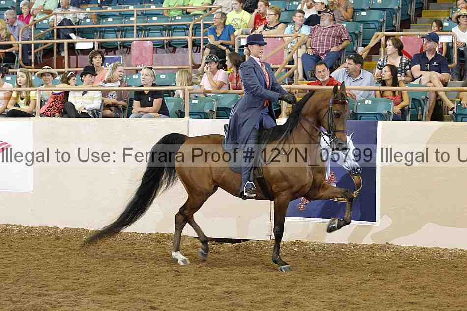 Proof 12yn_05799