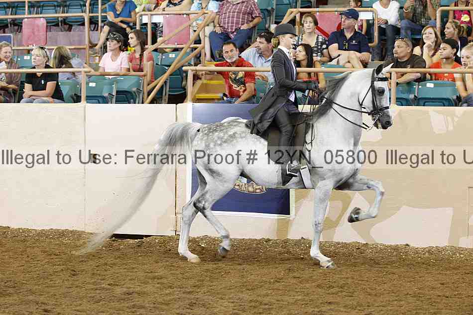 Proof 12yn_05800
