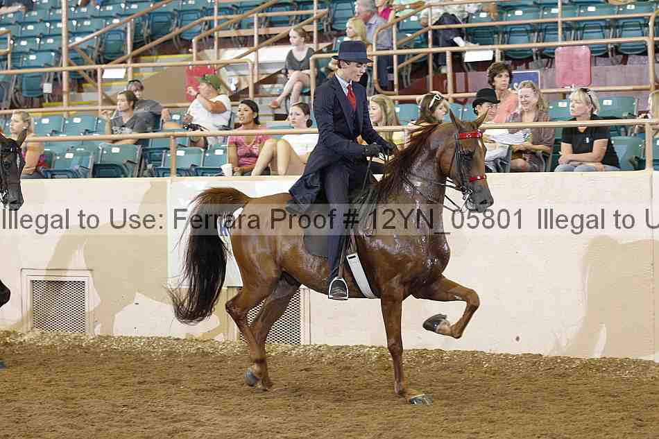 Proof 12yn_05801