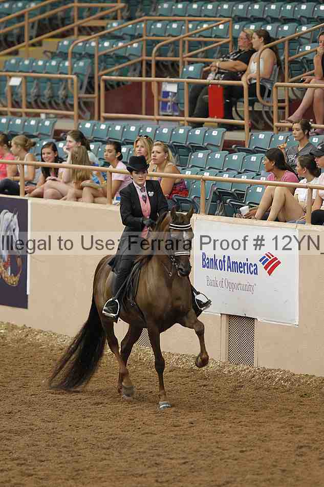 Proof 12yn_05803