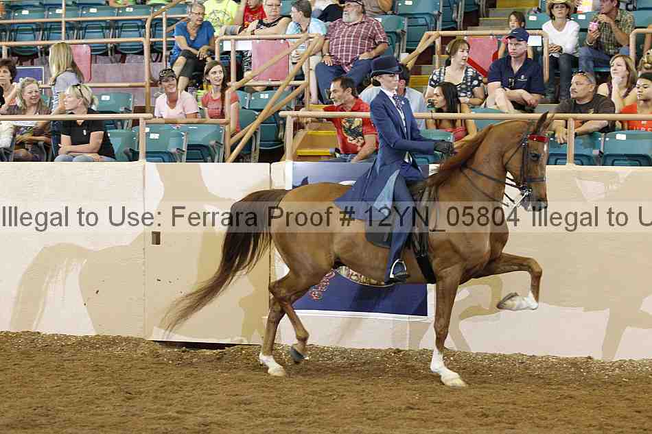 Proof 12yn_05804
