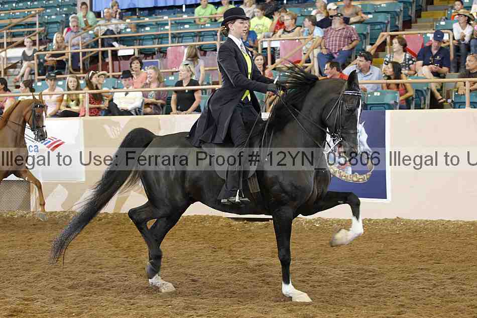 Proof 12yn_05806