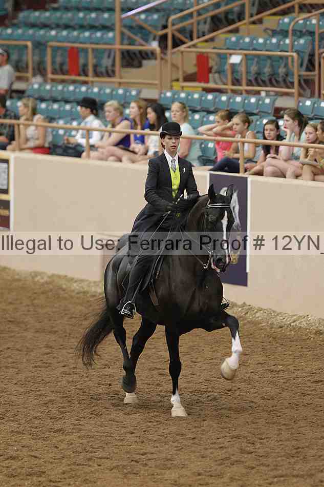 Proof 12yn_05807