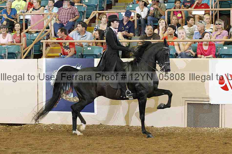 Proof 12yn_05808