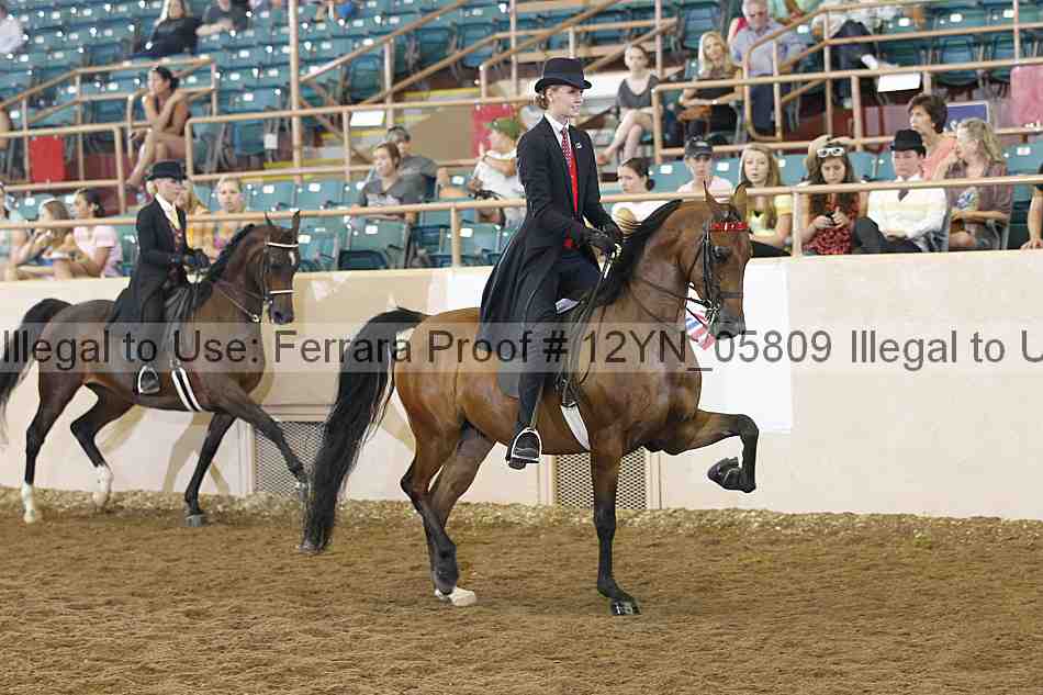 Proof 12yn_05809
