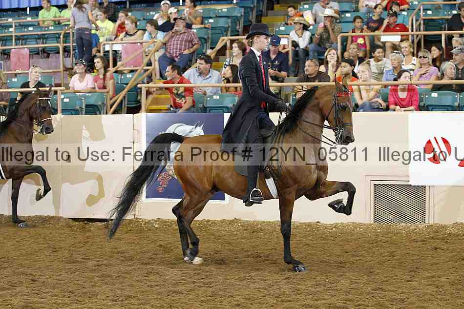 Proof 12yn_05811