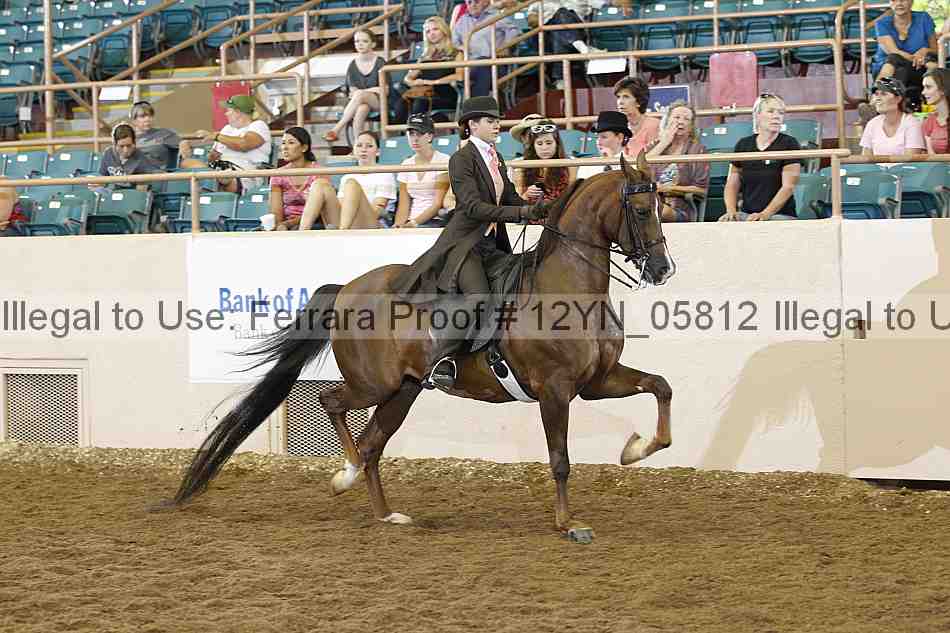 Proof 12yn_05812