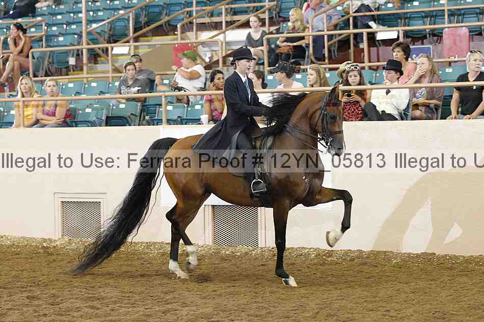 Proof 12yn_05813