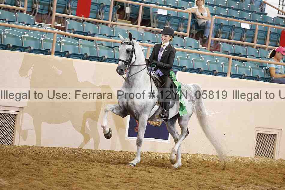 Proof 12yn_05819
