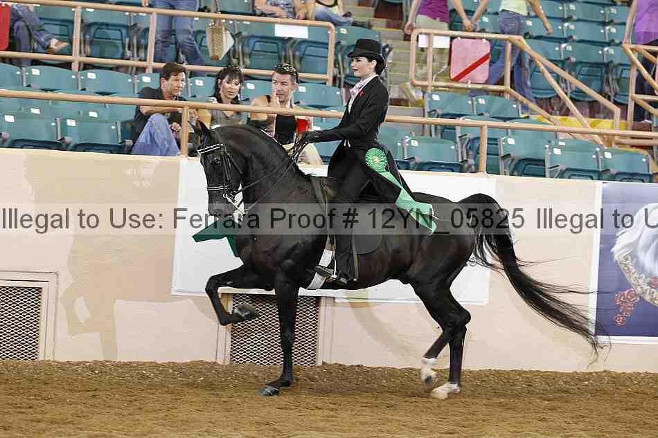 Proof 12yn_05825