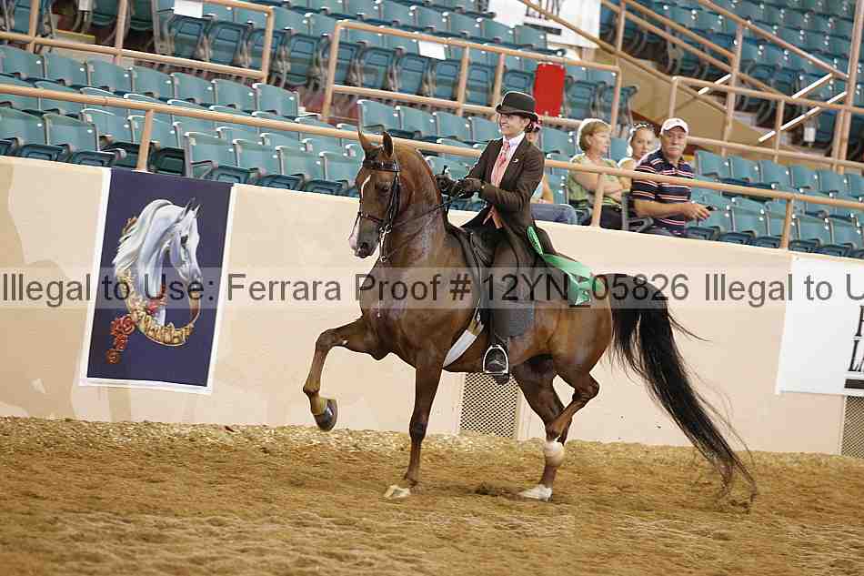 Proof 12yn_05826