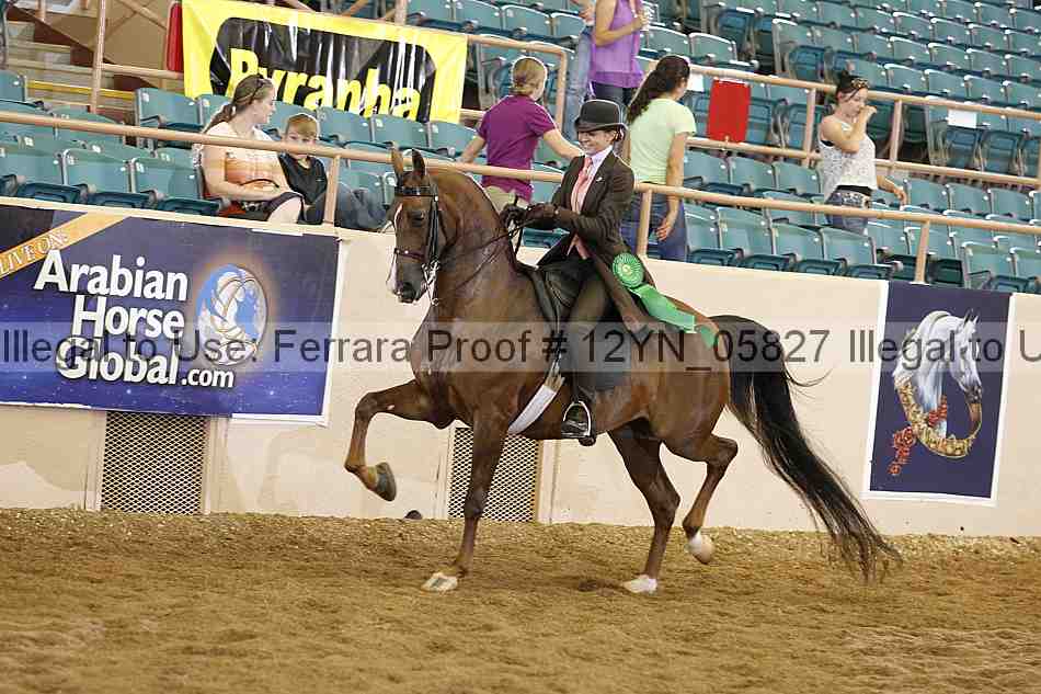 Proof 12yn_05827