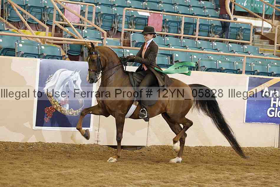 Proof 12yn_05828