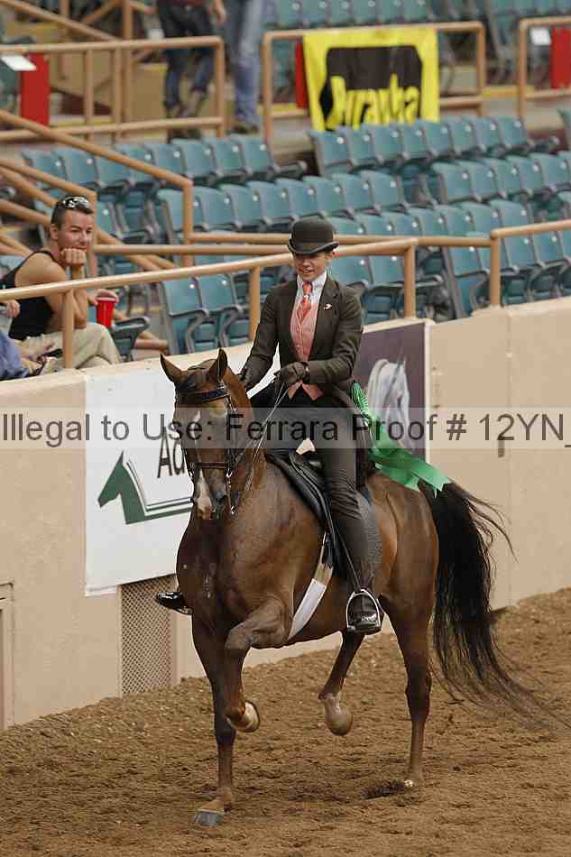 Proof 12yn_05834