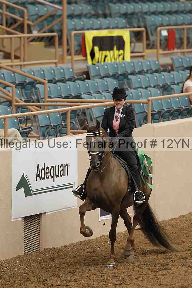 Proof 12yn_05838