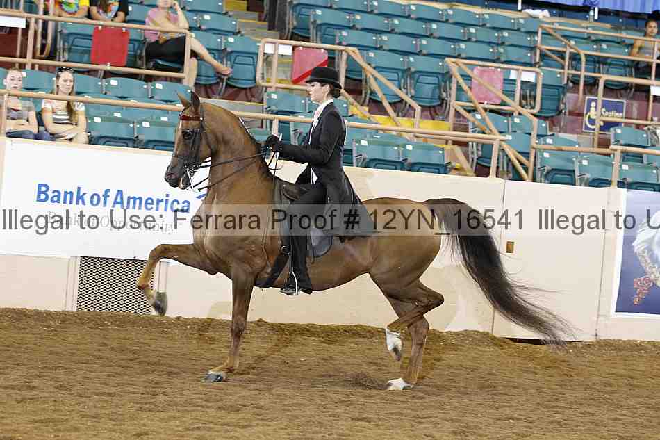 Proof 12yn_16541