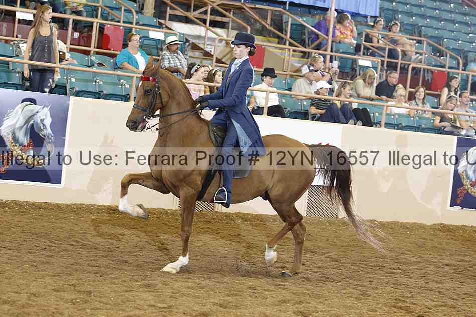 Proof 12yn_16557