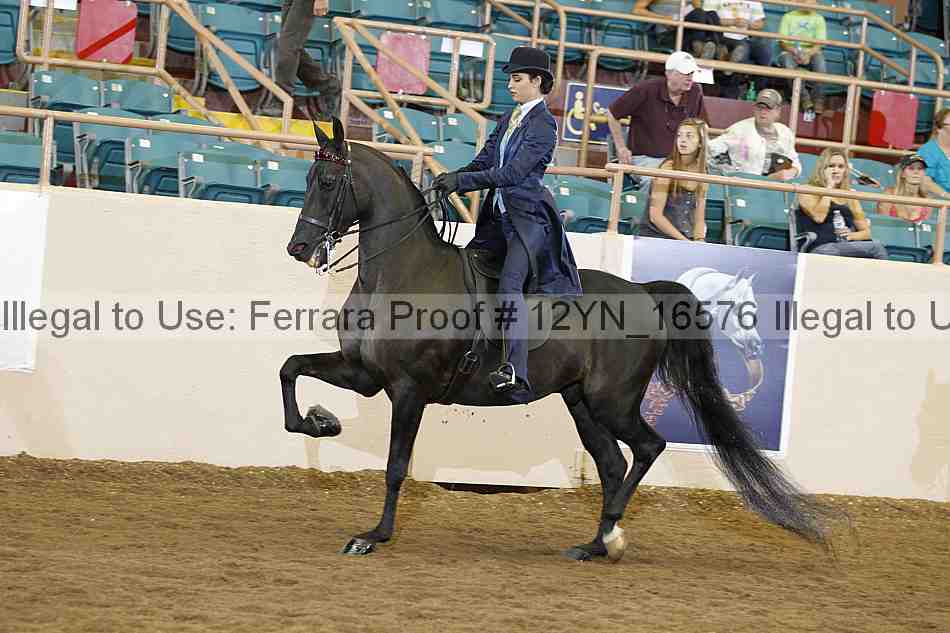 Proof 12yn_16576