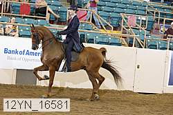 12yn_16581 proof