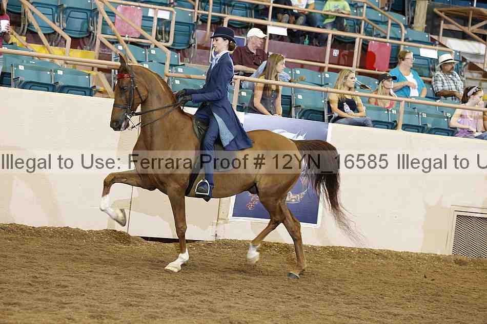 Proof 12yn_16585