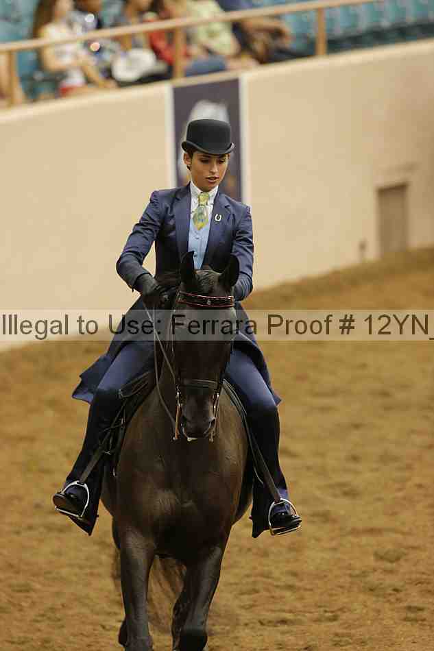Proof 12yn_16595