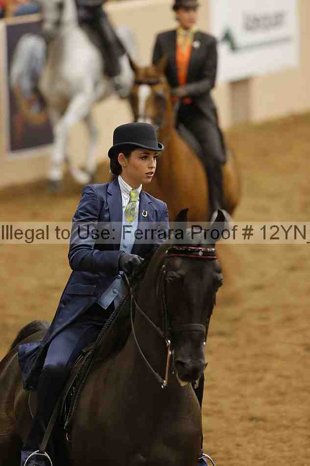 Proof 12yn_16596