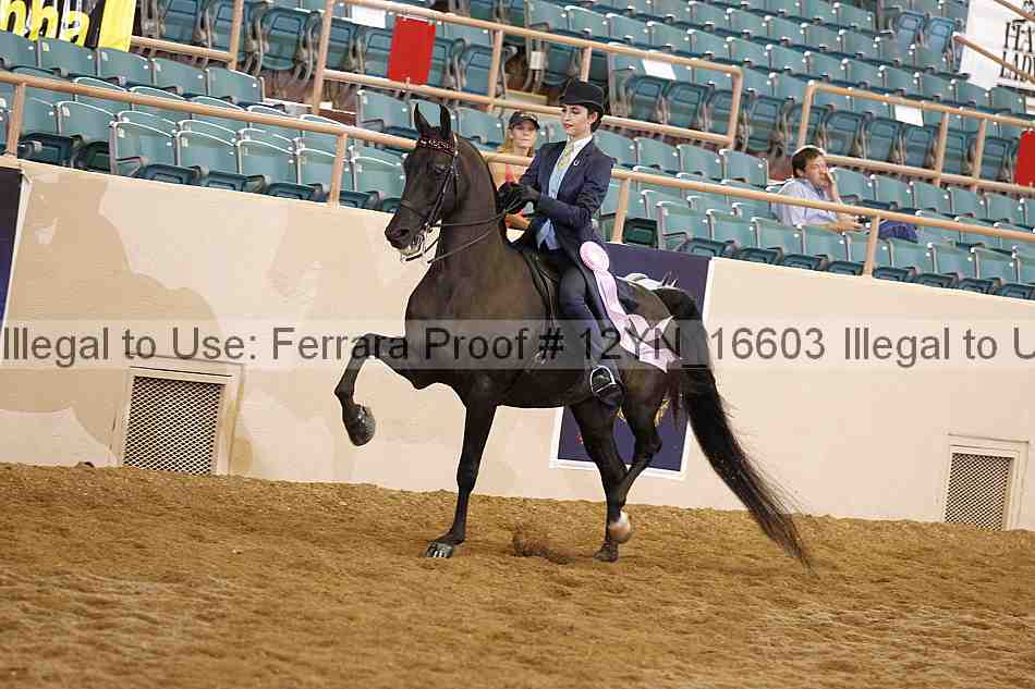 Proof 12yn_16603
