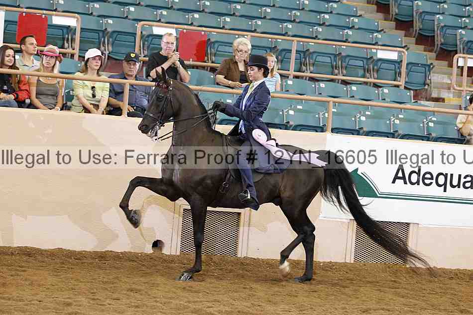 Proof 12yn_16605