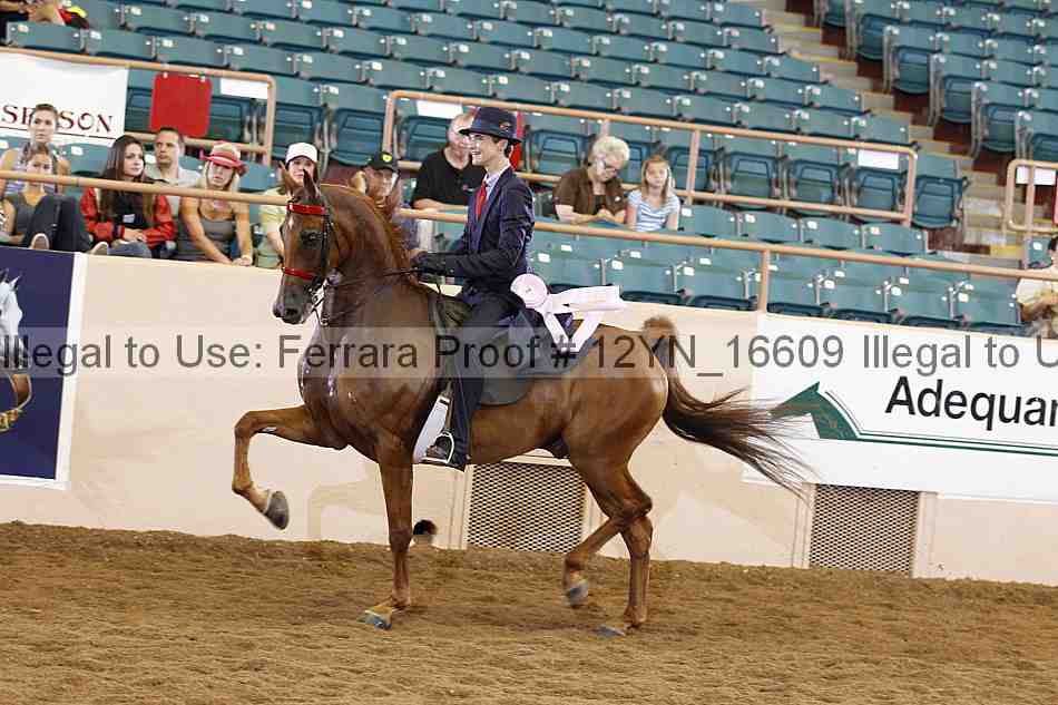 Proof 12yn_16609
