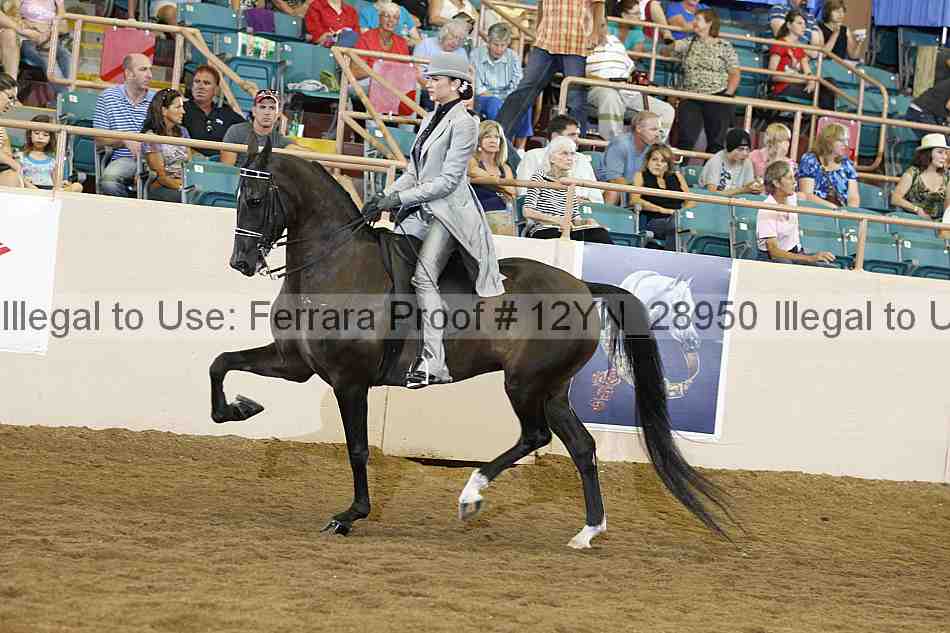 Proof 12yn_28950