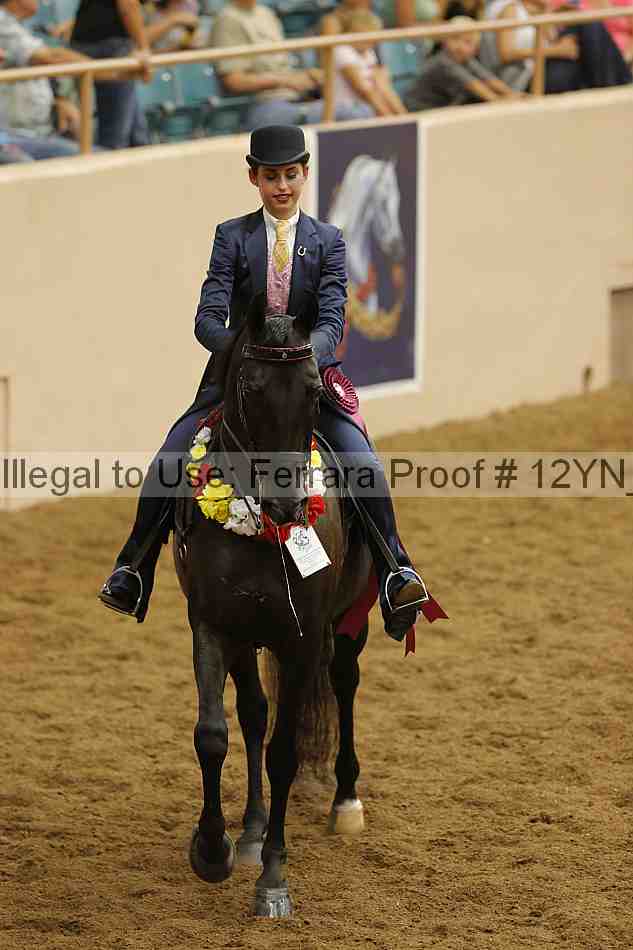 Proof 12yn_29013