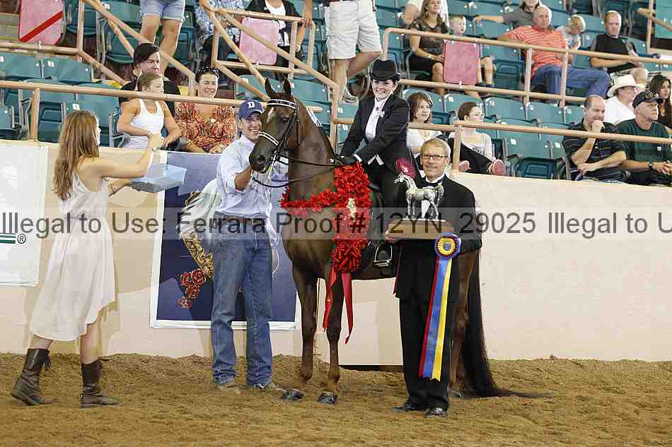 Proof 12yn_29025