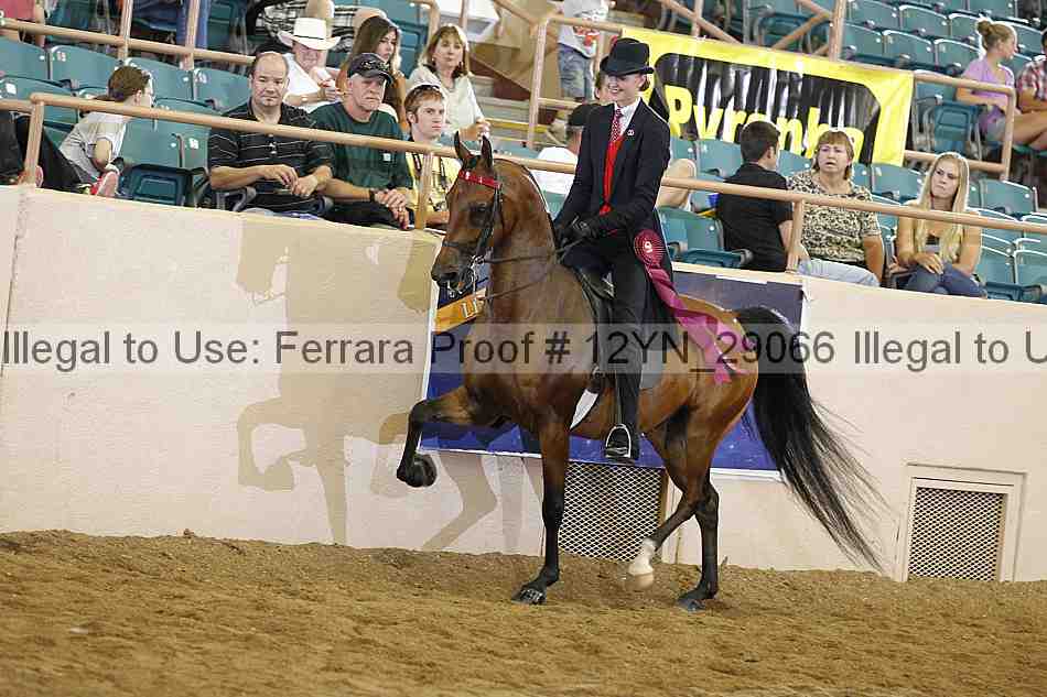 Proof 12yn_29066