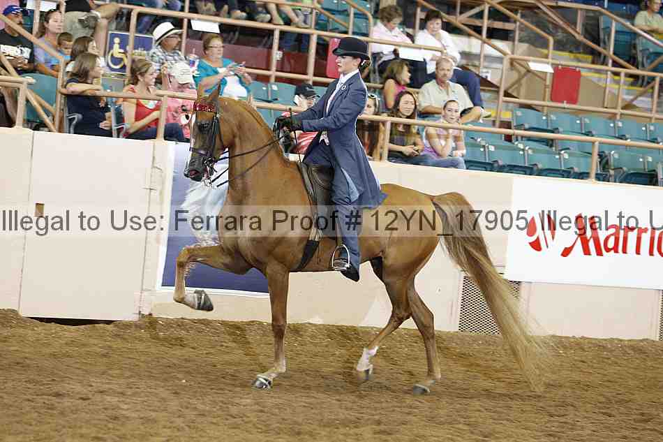 Proof 12yn_17905
